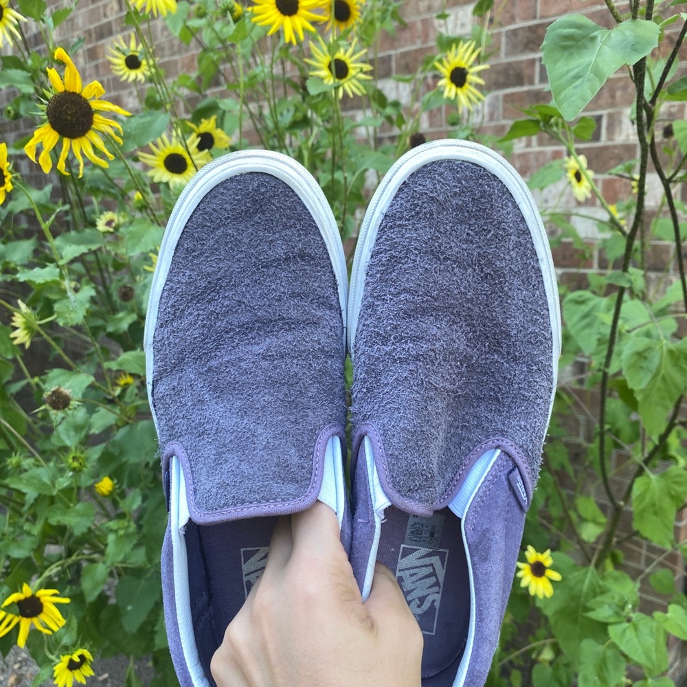 Purple Suede Classic Vans